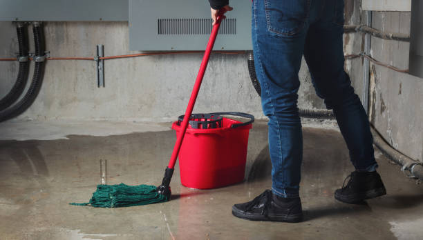 Best Local water damage restoration  in St Paul, VA