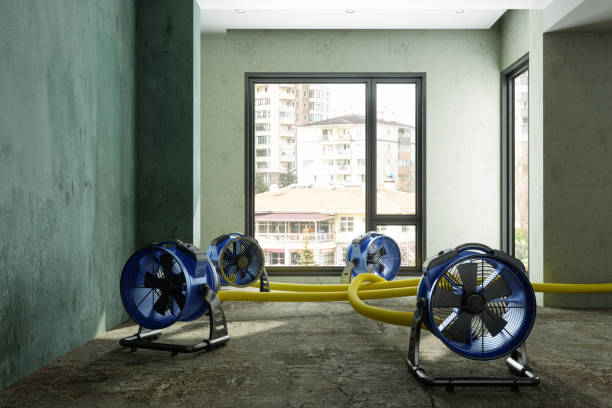 Best Basement water damage restoration  in St Paul, VA